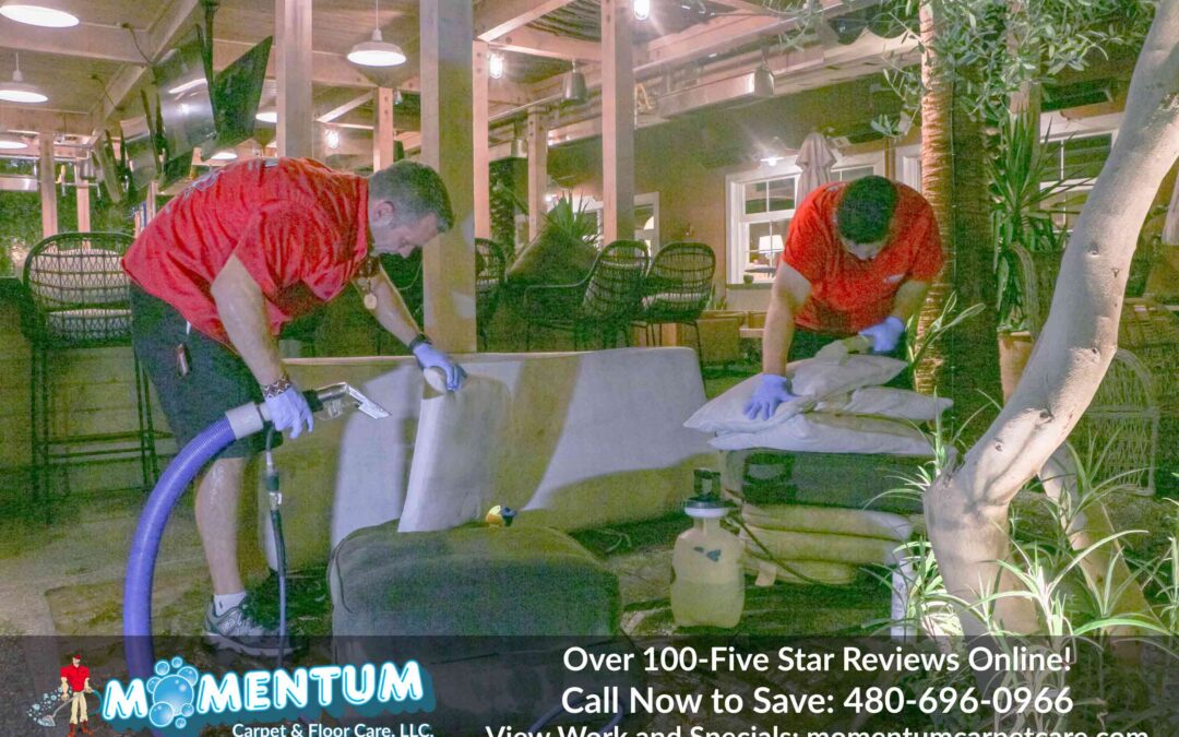 Upholstery Cleaning: Palma Restaurant, 903 N 2nd St, Phoenix, AZ 85004